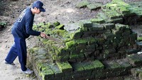 Petugas Balai Pelestarian Kebudyaan (Bapelbud) Wilayah XI Jawa Timur melakukan pembersihan area penemuan situs Candi Gedog di Kelurahan Gedog Kecamatan Sananwetan, Kota Blitar, Jawa Timur, Rabu (8/3/2023).