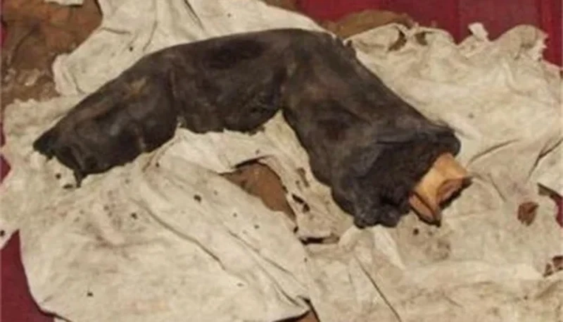 Foto misterius dan menyeramkan