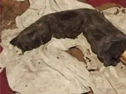 Foto Misterius dan Menyeramkan yang Sulit Dijelaskan Ilmuwan