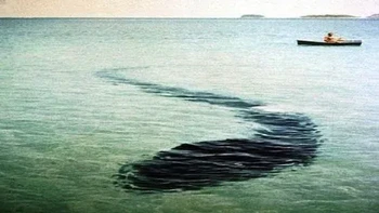 Pada tahun 1964, fotografer Prancis Robert Serrec melihat dan mengambil gambar cepat dari apa yang menyerupai makhluk mirip ular raksasa yang sedang beristirahat di dasar laut lepas pantai Queensland, Australia. Sementara beberapa telah menawarkan gagasan bahwa itu adalah terpal raksasa, tidak ada penjelasan yang kredibel yang pernah ditemukan untuk foto aneh ini Foto: Reddit