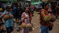 Ada pun 2.023 durian itu disiapkan oleh 3 kelompok. Pertama, kelompok penyedia yang sudah punya E Katalog bertugas menyiapkan 800 durian. Kedua, pemdes di Kecamatan Wonosalam bertugas menyiapkan 800 durian. Ketiga, Asosiasi Komoditas Wonosalam (Askom) bertugas menyiapkan 423 durian.