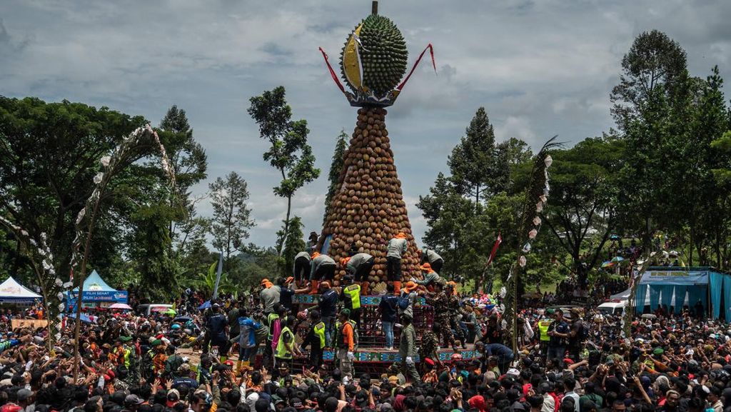 Harum Semerbak Festival Durian di Jombang