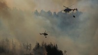 Petugas pemadam kebakaran Argentina berjuang melawan kebakaran hutan.   