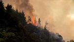 Kebakaran Hutan Mengamuk di Patagonia Argentina