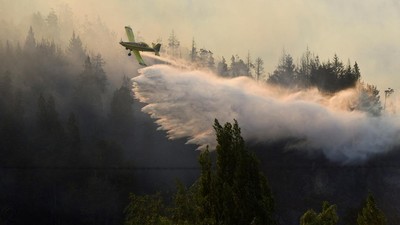 Kebakaran Hutan Mengamuk di Patagonia Argentina