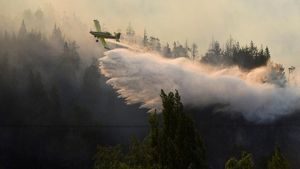 Kebakaran Hutan Mengamuk di Patagonia Argentina