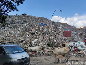 Warga Ancam Tutup TPA Antang Makassar Buntut Polemik Lokasi Proyek PSEL