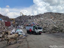 MP Lobi Pemkot Makassar Usai Wajib Bayar Retribusi Sampah Rp 25 Juta Sebulan