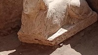 Temuan sphinx baru ini berasal dari penggalian yang dipimpin oleh Dr Mamdouh El Damaty, mantan menteri kepurbakalaan dan dosen arkeologi di Ain Shams University, Kairo. (Foto: Kementerian Pariwisata dan Kepurbakalaan Mesir)