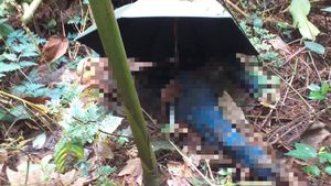 Polisi Temukan Rambut Panjang di TKP Mayat Tinggal Tengkorak di Gunung Salak