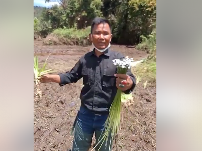 Pria di Bandung Emosi Kebun Edelweisnya Hancur gegara Balap Trail