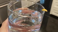 Memanen lemon untuk dinikmati sendiri, netizen perlihatkan bentuk lemonnya yang menyedihkan. Lemon gagal tumbuh ini hanya terlihat seperti bagian ujung kulit saja. Foto: Brightside