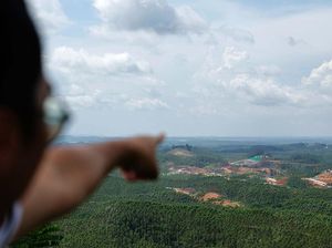 Progres Istana Presiden 12%, Tahun Depan Jadi Upacara 17 Agustus di IKN?