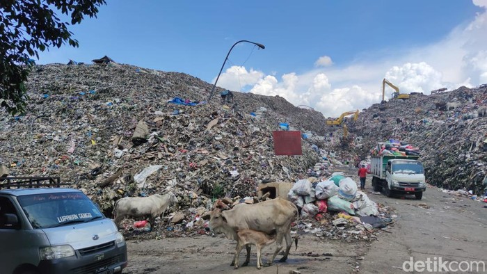 TPA Antang, Makassar, Sulawesi Selatan menggunung tanpa penanganan.