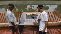 Revitalisasi kali tersebut untuk meningkatkan kapasitas dan menjaga kekuatan tebing untuk meminimalkan potensi longsor di Kali Ciliwung-Kali Pasar Baru di Jakarta Pusat.