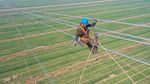 Aksi Teknisi di Atas Pembangkit Listrik Tenaga Nuklir Setinggi 70 Meter