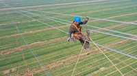 PLTN terdiri dari empat unit reaktor masing-masing dengan kapasitas 1.000 MW dan dibangun oleh ASE, dengan dua unit lagi dengan kapasitas 1.000 MW yang sedang dibangun oleh CNNC dan dua unit lainnya dengan kapasitas 1.200 MW yang disetujui untuk konstruksi di bawah ASE.  