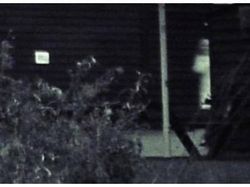 Foto Menakutkan di Kehidupan Nyata, Kisahnya Pun Tak Kalah Mengerikan