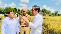 Momen foto bersama Jokowi, Prabowo, dan Ganjar terjadi saat meninjau panen raya padi dan berdialog dengan petani di Desa Lajer, Kecamatan Ambal, Kebumen. (Laily Rachev – Biro Pers Sekretariat Presiden)