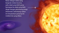 Foto: Infografis (Fuad Hasim/detikcom)