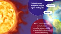 Foto: Infografis (Fuad Hasim/detikcom)