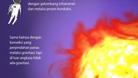 Foto: Infografis (Fuad Hasim/detikcom)
