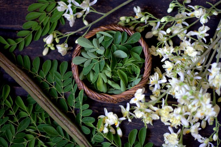 5 Manfaat Sehat Daun Kelor, Bikin Pria Lebih Kuat Ereksi