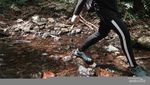 Menyibak Pesona Tersembunyi Kawah Ratu yang Cantik di Sukabumi