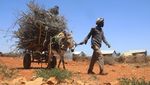 Miris! Pengungsi Somalia Kelaparan hingga Dehidrasi Imbas Kekeringan