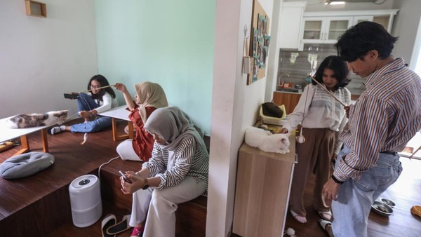 Sejumlah pengunjung bermain dengan kucing di Kafe Bilik Kucing, Kukusan, Depok, Jawa Barat, Kamis (9/3/2023). Konsep kafe kucing atau cat cafe bukanlah hal baru, namun ini mungkin yang pertama di Depok.