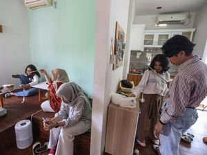 Pecinta Kucing, Bisa Nih Nongkrong di Kafe Ini