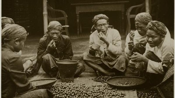 Pekerja memecah kopi dengan mulut di suatu pabrik di Priangan
