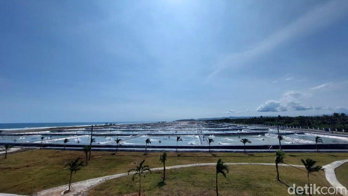 Penampakan Tambak Udang Modern yang Baru Diresmikan Jokowi Presiden Joko Widodo (Jokowi) meresmikan kawasan tambak budidaya udang berbasis kawasan (BUBK) di Kebumen, Jawa Tengah, Kamis (9/3/2023). Tambak ini menerapkan konsep ramah lingkungan.