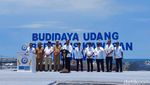 Penampakan Tambak Udang Modern yang Baru Diresmikan Jokowi