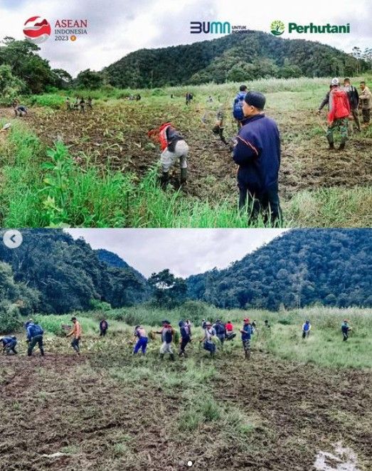 Perhutani rehabilitasi Ranca Upas (dok Perum Perhutani)