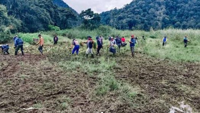 Perhutani rehabilitasi Ranca Upas (dok Perum Perhutani)