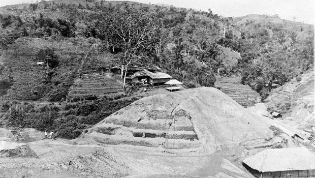 Perkebunan kopi di Priangan