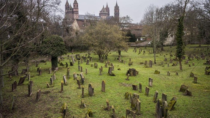 WORMS, GERMANY - JANUARY 25:  A view of Gravestones at the old Jewish cemetery 'Heiliger Sand', the oldest in-situ preserved Jewish cemetery in Europe, on January 25, 2023 in Worms, Germany. German President Frank-Walter Steinmeier is scheduled to present the cities of Speyer, Worms and Mainz their official UNESCO World Heritage certification in recognition of their importance as historic Jewish centers in a ceremony on February 1. The three cities, which in Hebrew had the names Spira, Warmaisa and Magenza and all lie along the Rhine River, were home to German Jewish communities as far back as the 10th and 11th centuries. The ShUM-Sites include unique, exemplary community centers, monuments and cemeteries. Shum an acronym made up of the first letters of the medieval Hebrew city names. They evolved into vital places of Jewish learning and had a profound impact on Ashkenazi Jewish tradition. Their history is also marked with oppression, from massacres by Christian crusaders in 1096, to a devastating pogrom in 1349 and finally persecution, and later annihilation, under the Nazis in the 1930s. Today small Jewish communities exist in all three cities, particularly as a result of Russian-Jewish immigration after 1989. UNESCO first named the cities to its World Heritage list in 2021. (Photo by Thomas Lohnes/Getty Images)