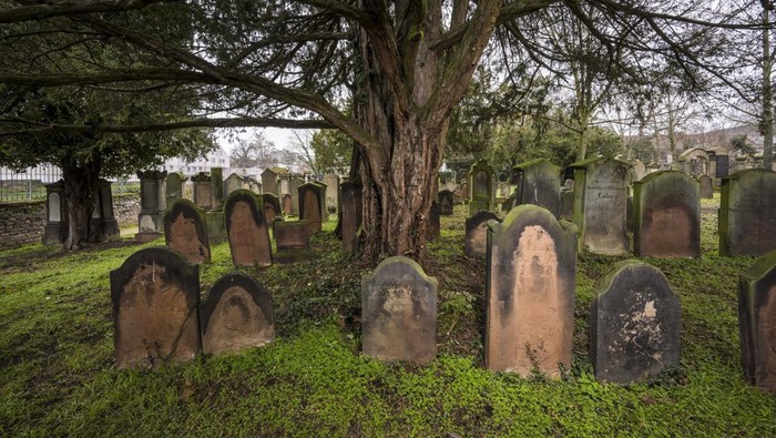 Potret Horor Pemakaman Yahudi Tertua di Jerman WORMS, GERMANY - JANUARY 25: A view of Gravestones at the old Jewish cemetery 'Heiliger Sand', the oldest in-situ preserved Jewish cemetery in Europe, on January 25, 2023 in Worms, Germany. German President Frank-Walter Steinmeier is scheduled to present the cities of Speyer, Worms and Mainz their official UNESCO World Heritage certification in recognition of their importance as historic Jewish centers in a ceremony on February 1. The three cities, which in Hebrew had the names Spira, Warmaisa and Magenza and all lie along the Rhine River, were home to German Jewish communities as far back as the 10th and 11th centuries. The ShUM-Sites include unique, exemplary community centers, monuments and cemeteries. Shum an acronym made up of the first letters of the medieval Hebrew city names. They evolved into vital places of Jewish learning and had a profound impact on Ashkenazi Jewish tradition. Their history is also marked with oppression, from massacres by Christian crusaders in 1096, to a devastating pogrom in 1349 and finally persecution, and later annihilation, under the Nazis in the 1930s. Today small Jewish communities exist in all three cities, particularly as a result of Russian-Jewish immigration after 1989. UNESCO first named the cities to its World Heritage list in 2021. (Photo by Thomas Lohnes/Getty Images)