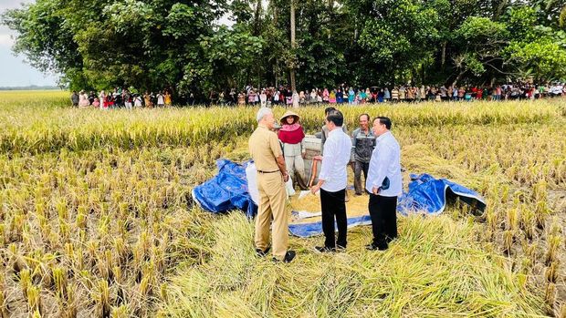 Presiden Joko Widodo didampingi Sekretaris Kabinet Pramono Anung, Menteri Pertahanan Prabowo Subianto, Menteri Pertanian Syahrul Yasin Limpo, Kepala Badan Pangan Nasional Arief Prasetyo Adi, dan Gubernur Jawa Tengah Ganjar Pranowo  meninjau panen raya padi dan berdialog dengan petani di Desa Lajer, Kecamatan Ambal, Kabupaten Kebumen, Provinsi Jawa Tengah Kamis (9/3/2023). (Dok: Biro Pers Sekretariat Presiden)