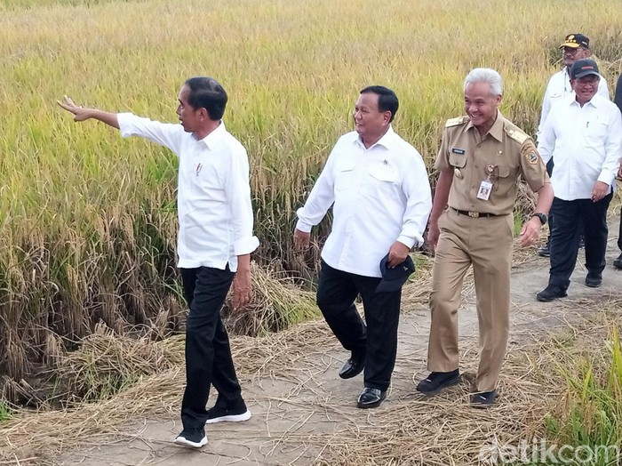 Presiden Jokowi menghadiri panen raya padi di Kebumen, Jawa Tengah, Kamis (9/3/2023).