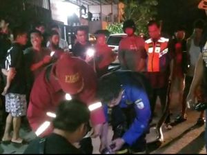 Ular Sanca 4 Meter Dievakuasi dari Selokan Rumah Warga di Jambi