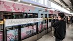 Sambut Musim Semi, Kereta Bawah Tanah di Wuhan Bertema Sakura