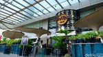 Sayonara! Hard Rock Cafe Jakarta Bakal Tutup 31 Maret 2023 Sayonara! Hard Rock Cafe Jakarta Bakal Tutup 31 Maret 2023