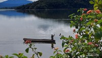 Melihat aktivitas warga lokal mencari ikan di Danau Tigi