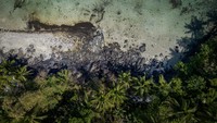 Pengurus resor setempat mengatakan tidak ada yang menyewa cottage mereka karena larangan berenang, tidak ada yang check-in karena bau busuk, dan pasir dipenuhi minyak.  