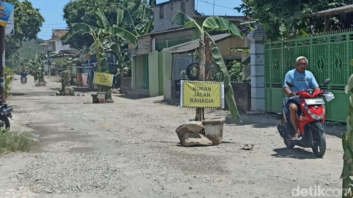 Warga di Tulungagung menanam pohon pisang di jalan rusak