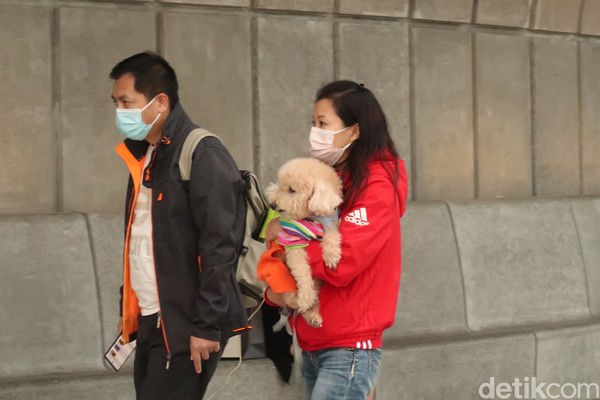 Warga Hong Kong biasanya tak ke sini sendirian. Mereka datang bersama pasangan, teman atau hewan peliharaan. (bonauli/detikcom) Warga Hong Kong biasanya tak ke sini sendirian. Mereka datang bersama pasangan, teman atau hewan peliharaan. (bonauli/detikcom)