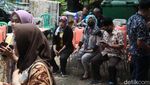 Yuk Belajar Atasi Hama Urban Farming