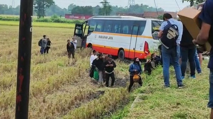 Bus terjun ke sawah di kediri